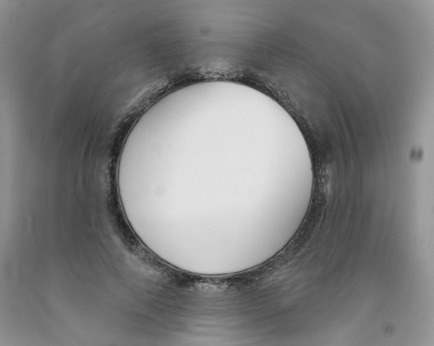 X0000091510690200709141355