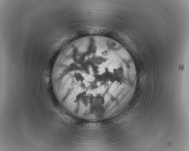 X0000091510691200709141355