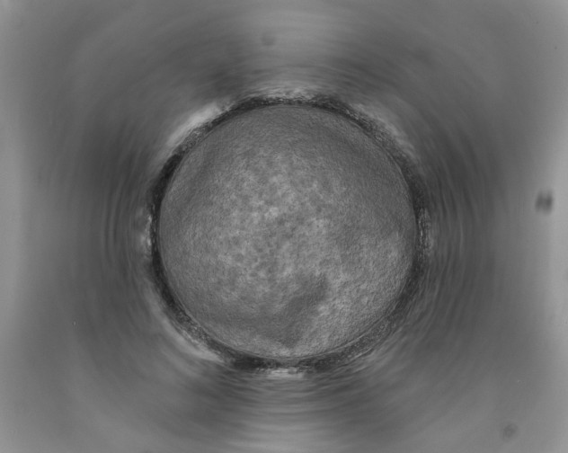 X0000091510692200709141355