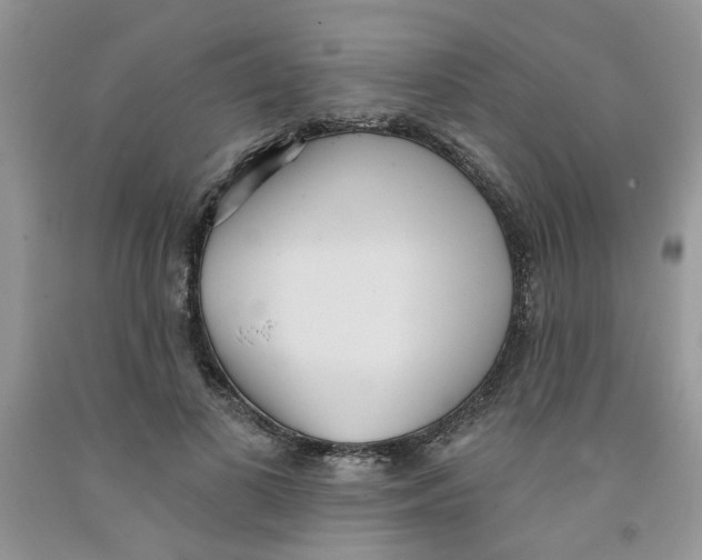 X0000091510693200709141355