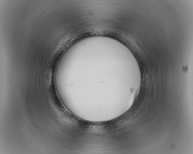 X0000091510694200709141355