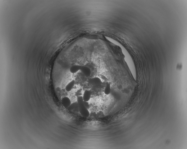 X0000091510695200709141355