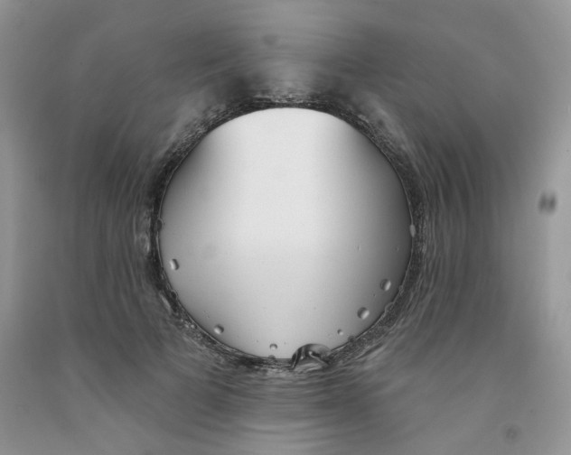 X0000091510697200709141355