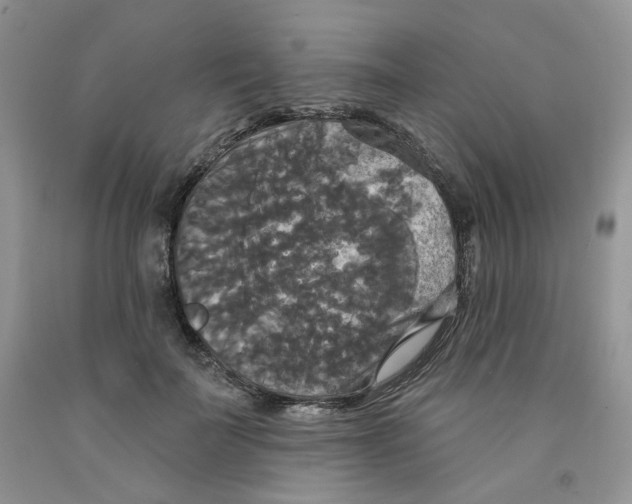 X0000091510699200709141355