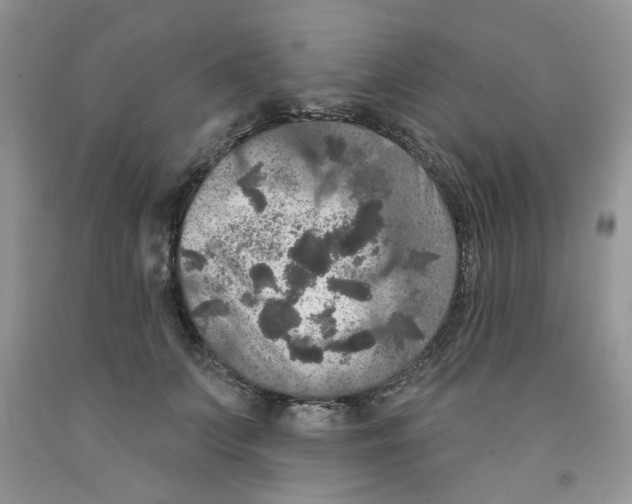 X0000091510703200709141355