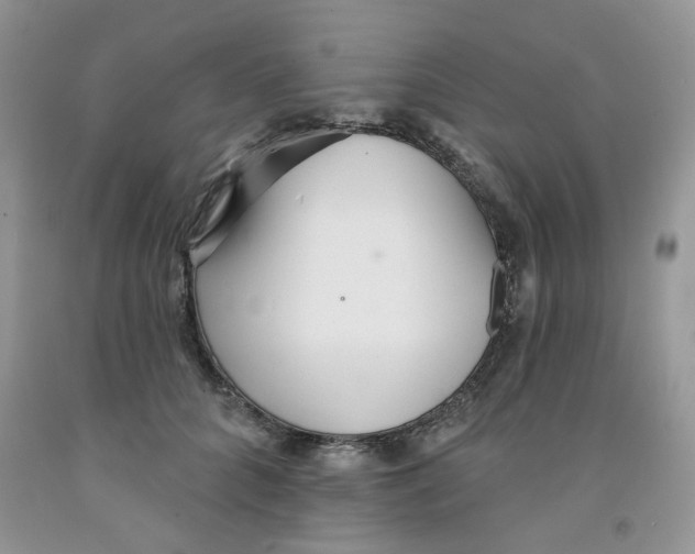 X0000091510704200709141355