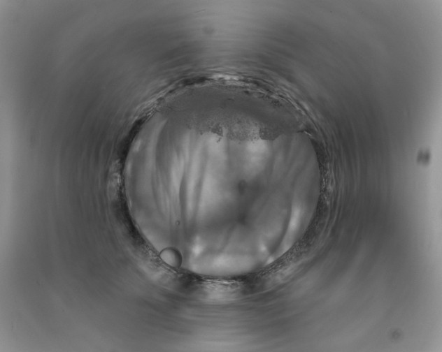 X0000091510707200709141355