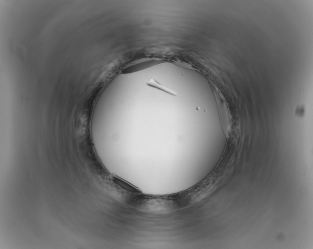 X0000091510708200709141355