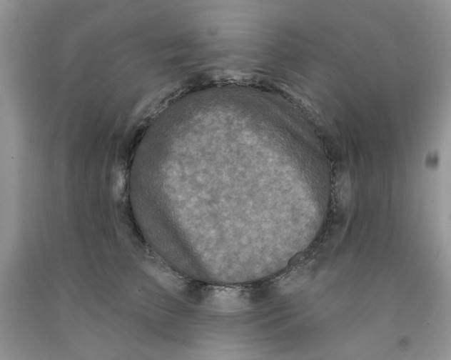 X0000091510709200709141355