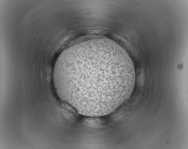 X0000091510712200709141355