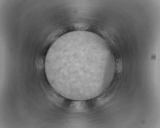 X0000091510713200709141355