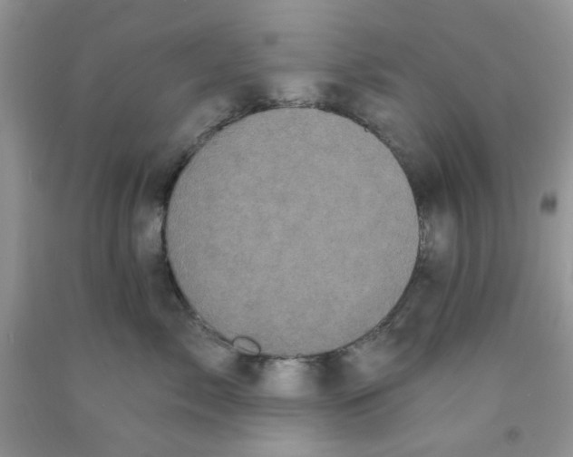 X0000091510717200709141355