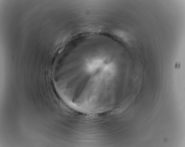 X0000091510720200709141355