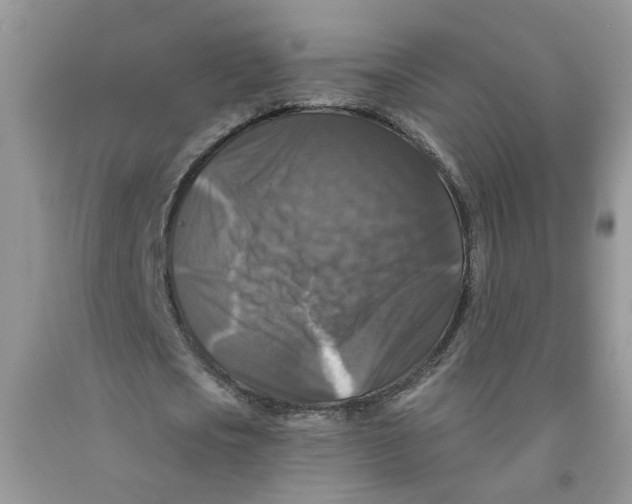 X0000091510721200709141354