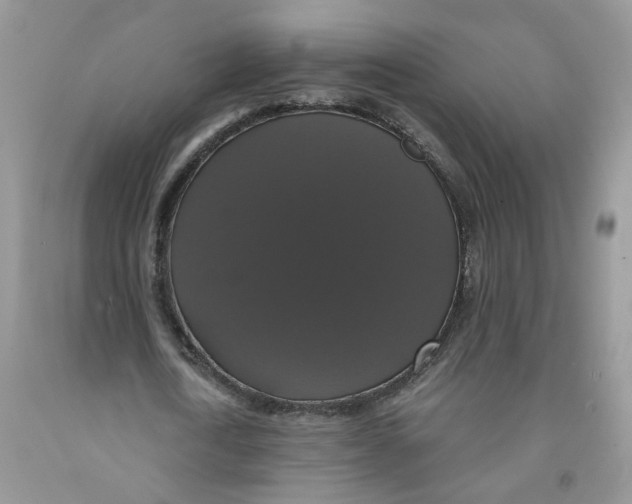 X0000091510722200709141354