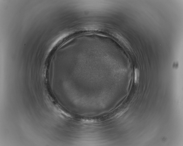 X0000091510723200709141354