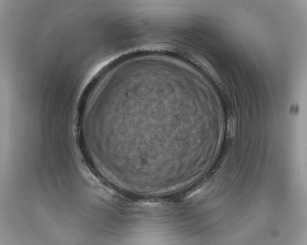 X0000091510724200709141354