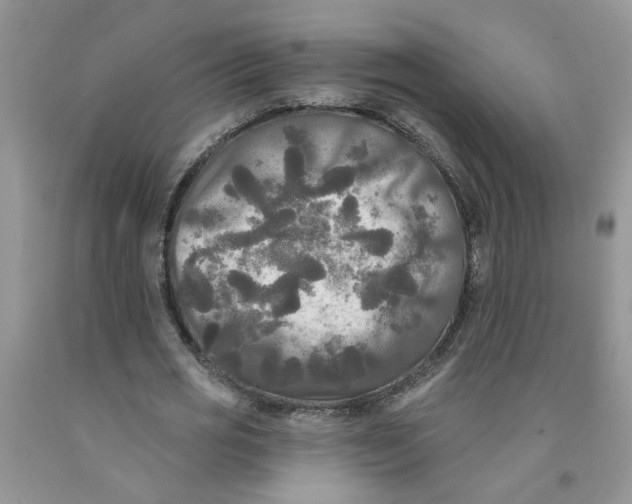 X0000091510725200709141354