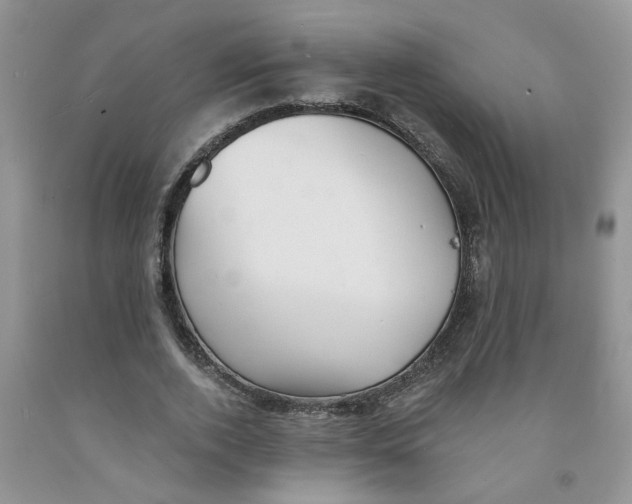 X0000091510728200709141354