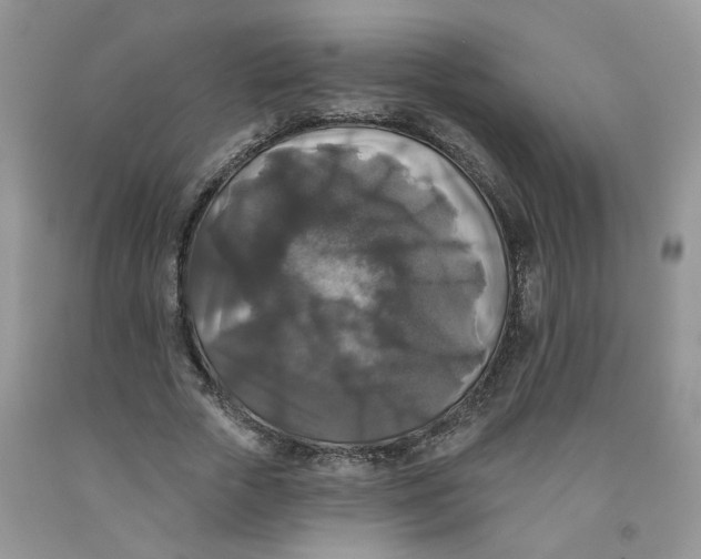 X0000091510729200709141354