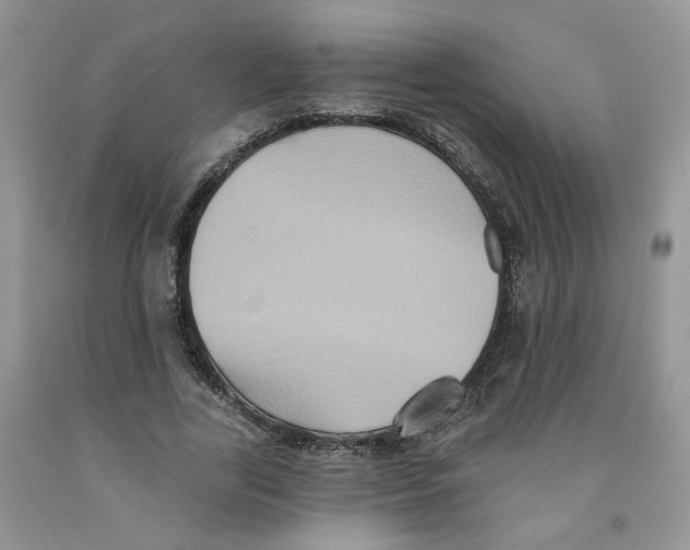 X0000091510731200709141354