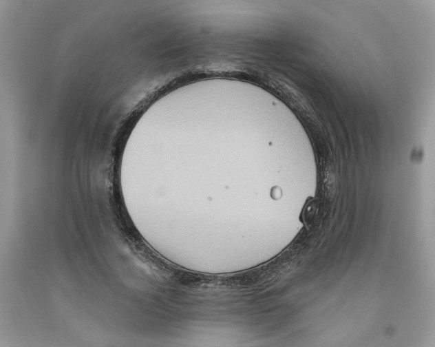 X0000091510732200709141354