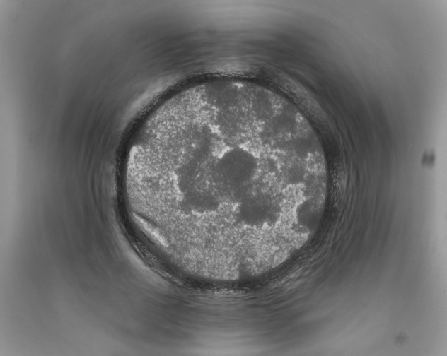 X0000091510734200709141354