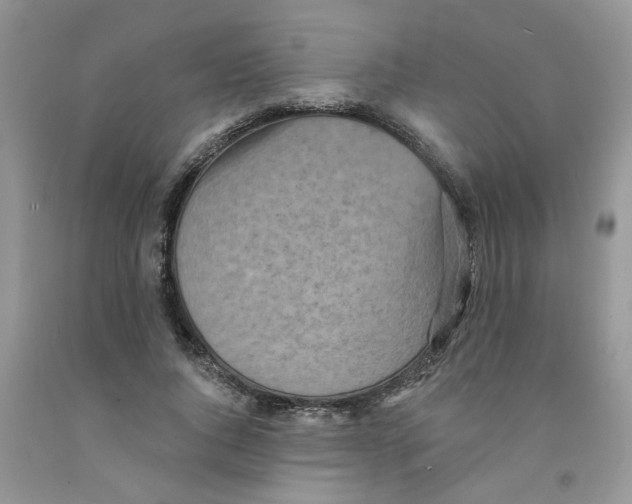 X0000091510736200709141354