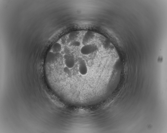 X0000091510737200709141354