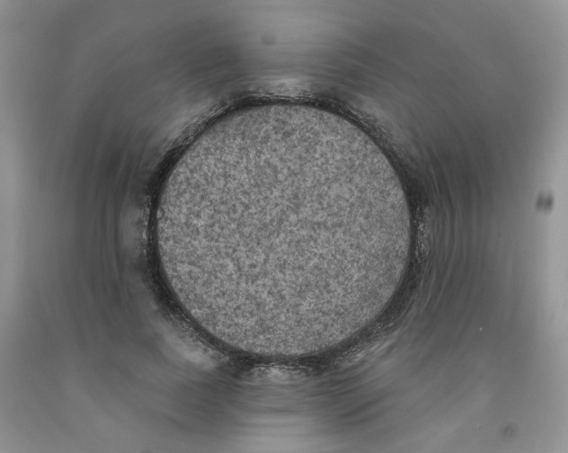 X0000091510739200709141354