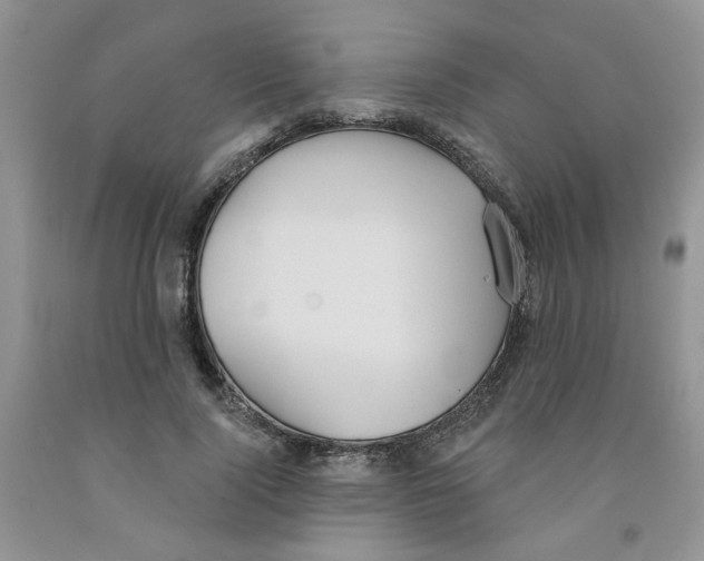 X0000091510740200709141354