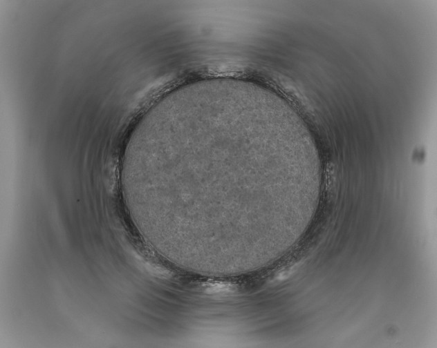 X0000091510741200709141354