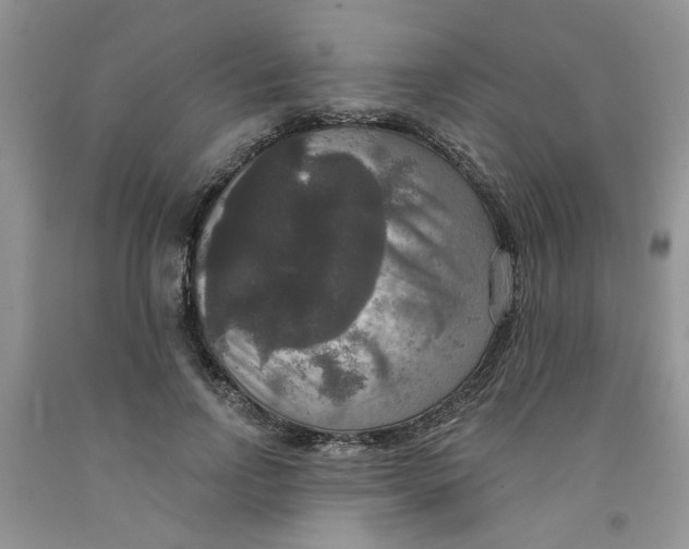 X0000091510742200709141354