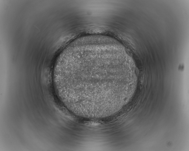 X0000091510743200709141354