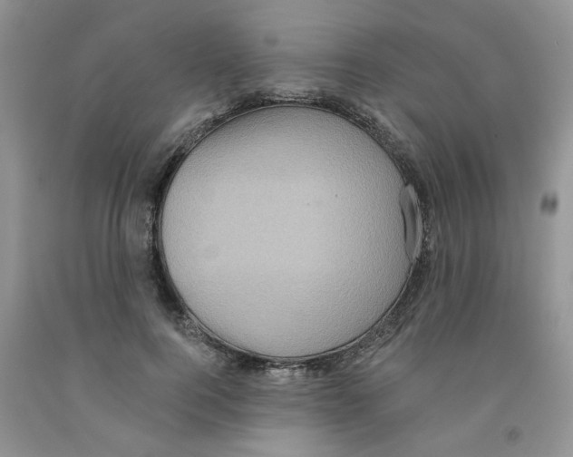 X0000091510744200709141354