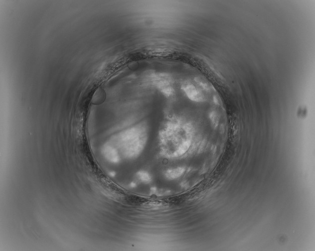 X0000091510745200709141354