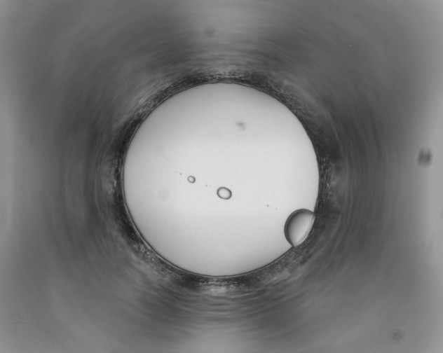 X0000091510746200709141354