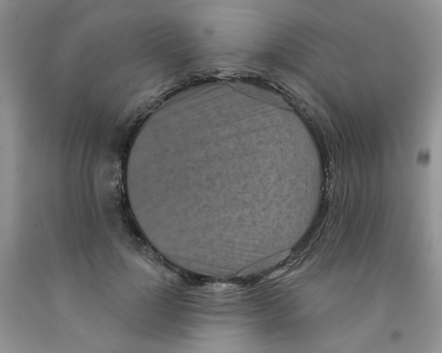 X0000091510748200709141354