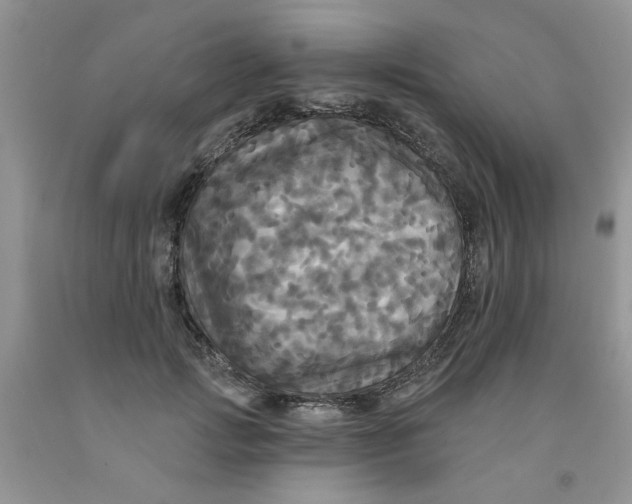 X0000091510749200709141354