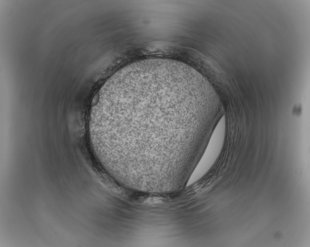 X0000091510751200709141354