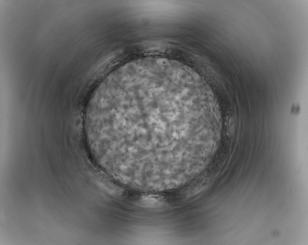 X0000091510753200709141354