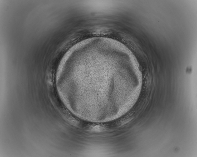 X0000091510755200709141354