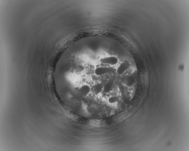 X0000091510757200709141354