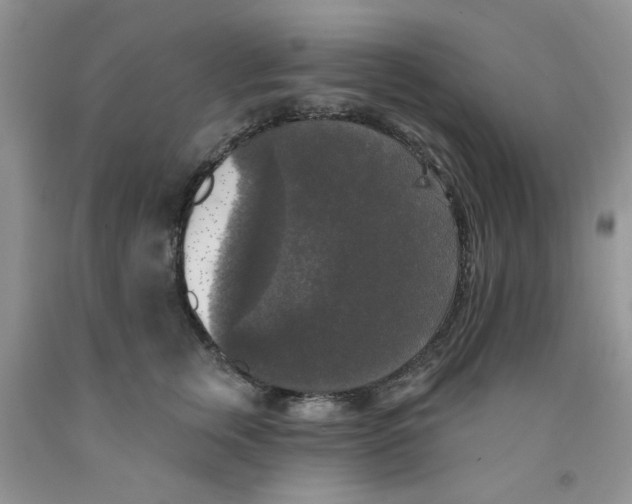 X0000091510759200709141355