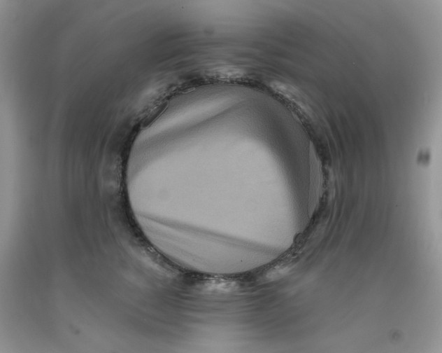 X0000091510760200709141355