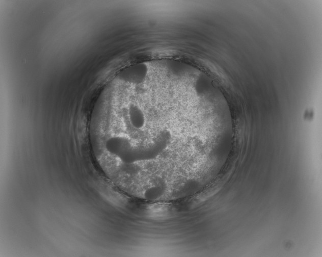 X0000091510761200709141355