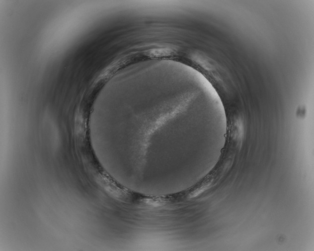 X0000091510763200709141355