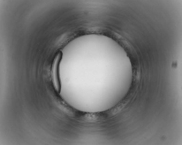 X0000091510764200709141355