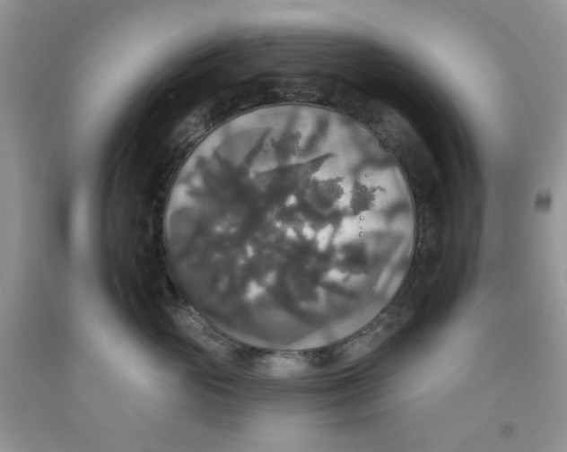 X0000091510765200709141355