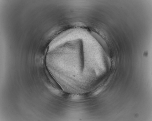 X0000091510766200709141355